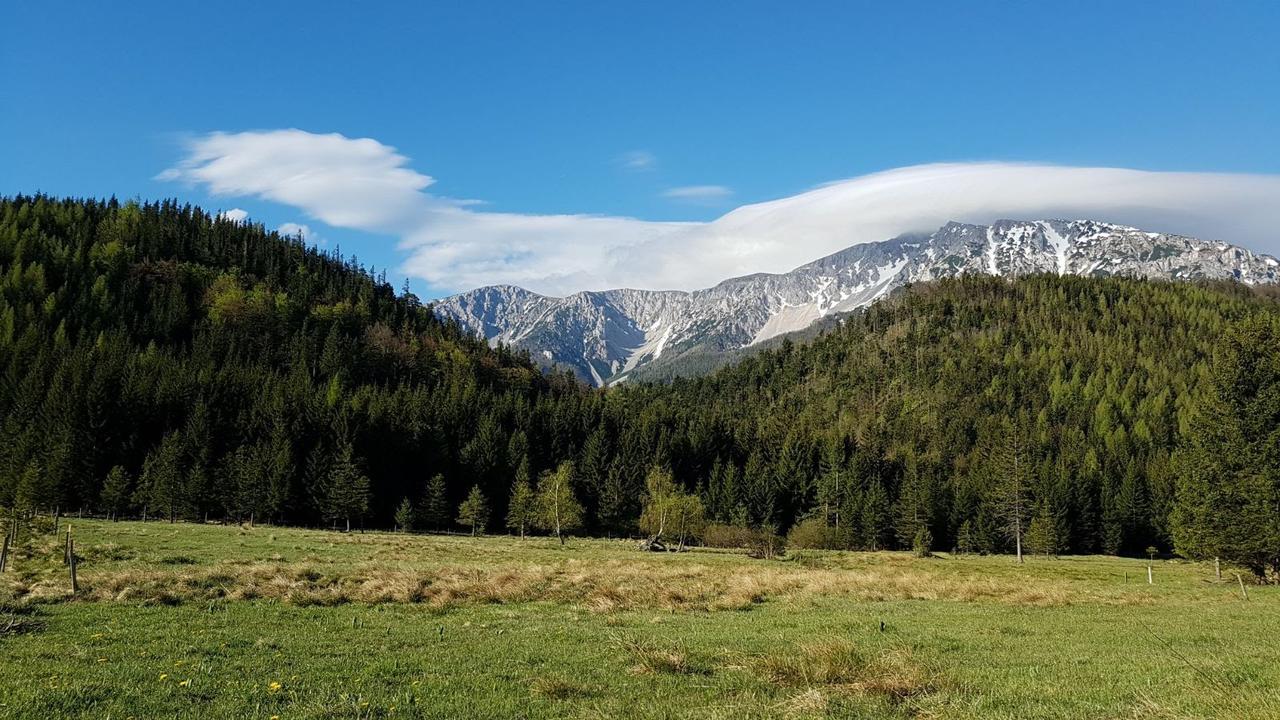 Ferienwohnungen Mamauwiese Gutenstein Eksteriør billede