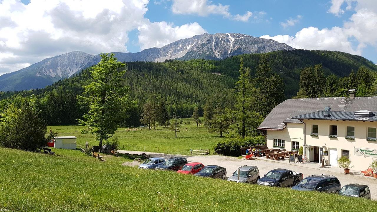 Ferienwohnungen Mamauwiese Gutenstein Eksteriør billede