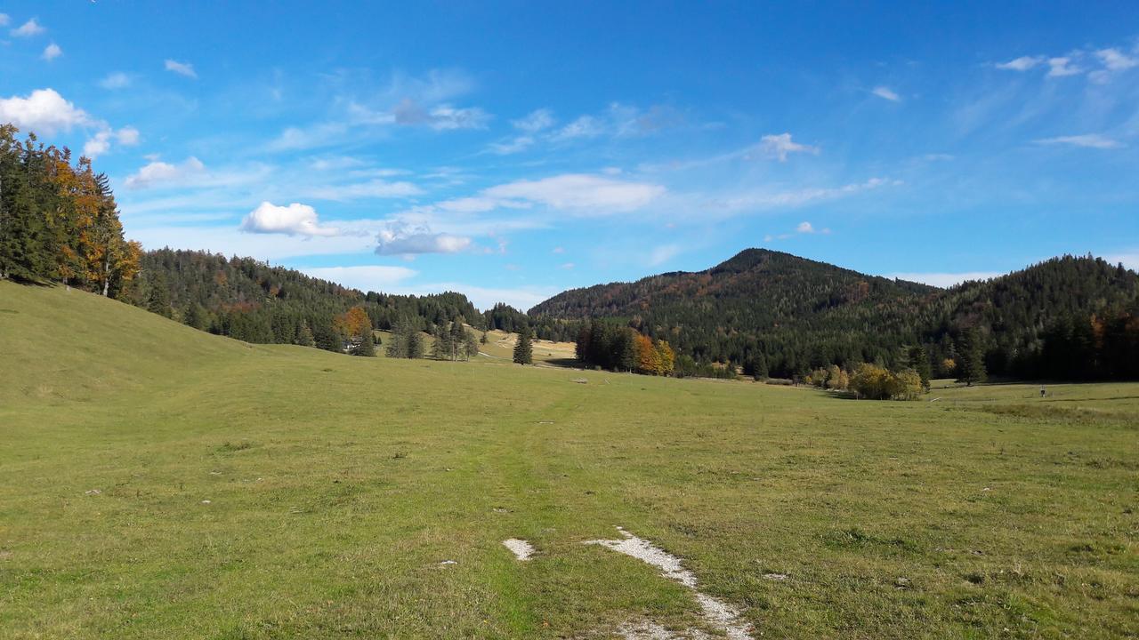 Ferienwohnungen Mamauwiese Gutenstein Eksteriør billede