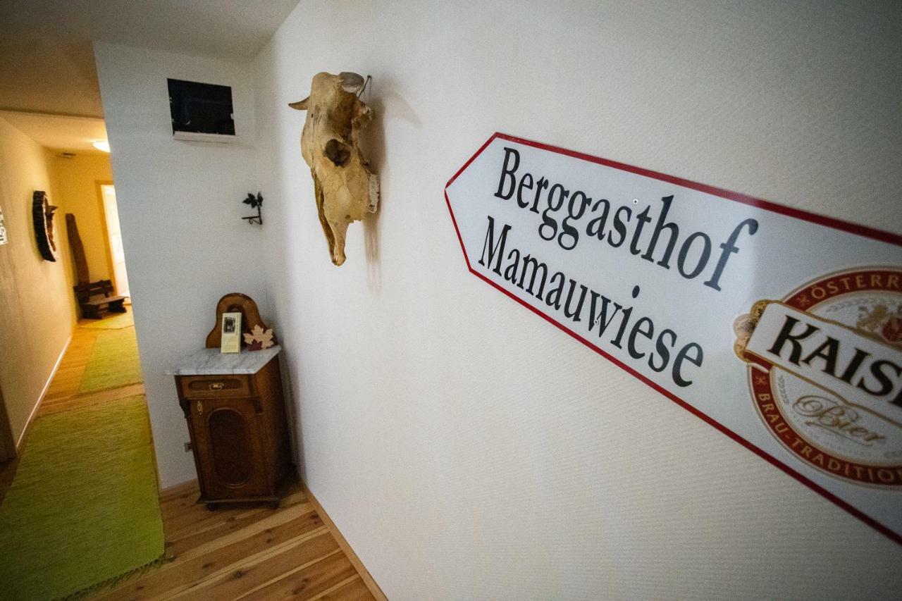 Ferienwohnungen Mamauwiese Gutenstein Eksteriør billede